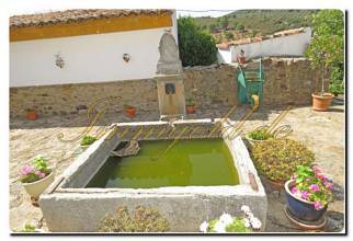 Thumbnail von Immogold Oliven Finca mit ca. 2.000.000 m² Grundstück und Pool