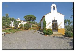 Thumbnail von Immogold Oliven Finca mit ca. 2.000.000 m² Grundstück und Pool