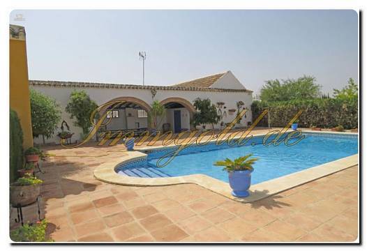 Immogold Oliven Finca mit ca. 2.000.000 m² Grundstück und Pool