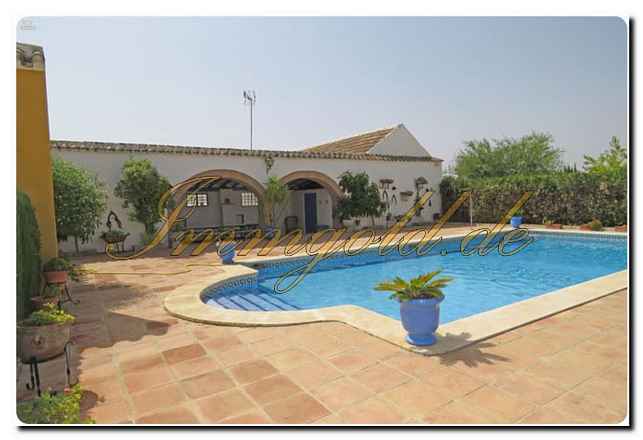 Immogold Oliven Finca mit ca. 2.000.000 m² Grundstück und Pool