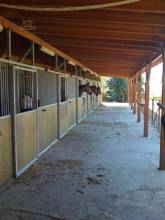 Thumbnail von Villa For Sale in Campo Mijas, Málaga