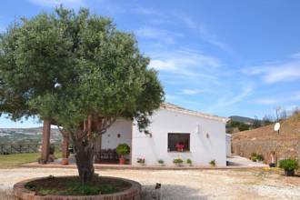 Thumbnail von Villa For Sale in Campo Mijas, Málaga