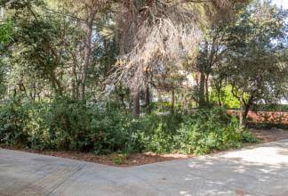 Thumbnail von Land For Sale in Capdepera, Baleares