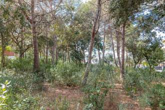 Thumbnail von Land For Sale in Capdepera, Baleares