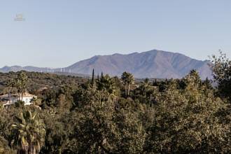 Thumbnail von Sotogrande Villa ES134213