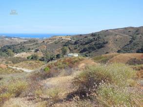 Thumbnail von La Cala Golf Villa ES134327