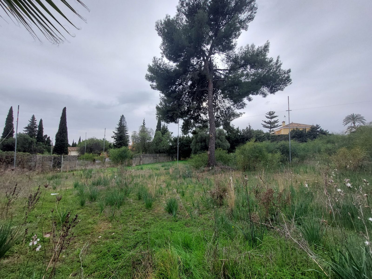 Thumbnail von Nagüeles Land ES133869