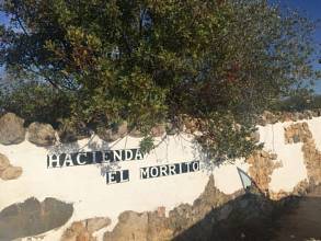 Thumbnail von Sevilla Country House ES133784