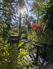 Thumbnail von Marbella Apartment ES133421