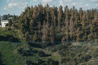 Thumbnail von Apartment For Sale in Mijas Costa, Málaga