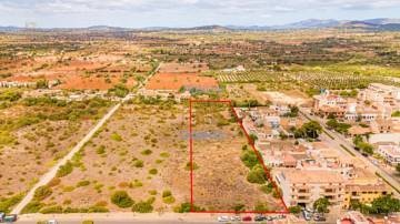 Thumbnail von Land For Sale in Manacor, Baleares