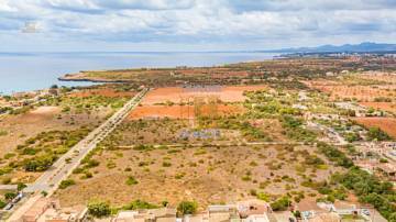 Thumbnail von Land For Sale in Manacor, Baleares