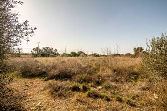Thumbnail von Land For Sale in Manacor, Baleares
