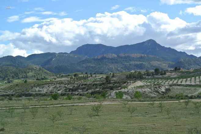  Torre Del Rico Villa ES127101