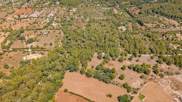 Thumbnail von Artà Villa ES124945