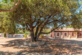 Thumbnail von Artà Villa ES124945