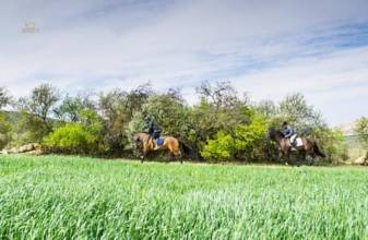 Thumbnail von Antequera Commercial Property ES124444