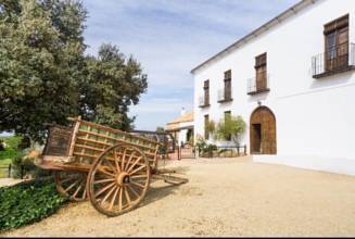 Thumbnail von Antequera Commercial Property ES124444