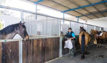 Thumbnail von Antequera Commercial Property ES124444