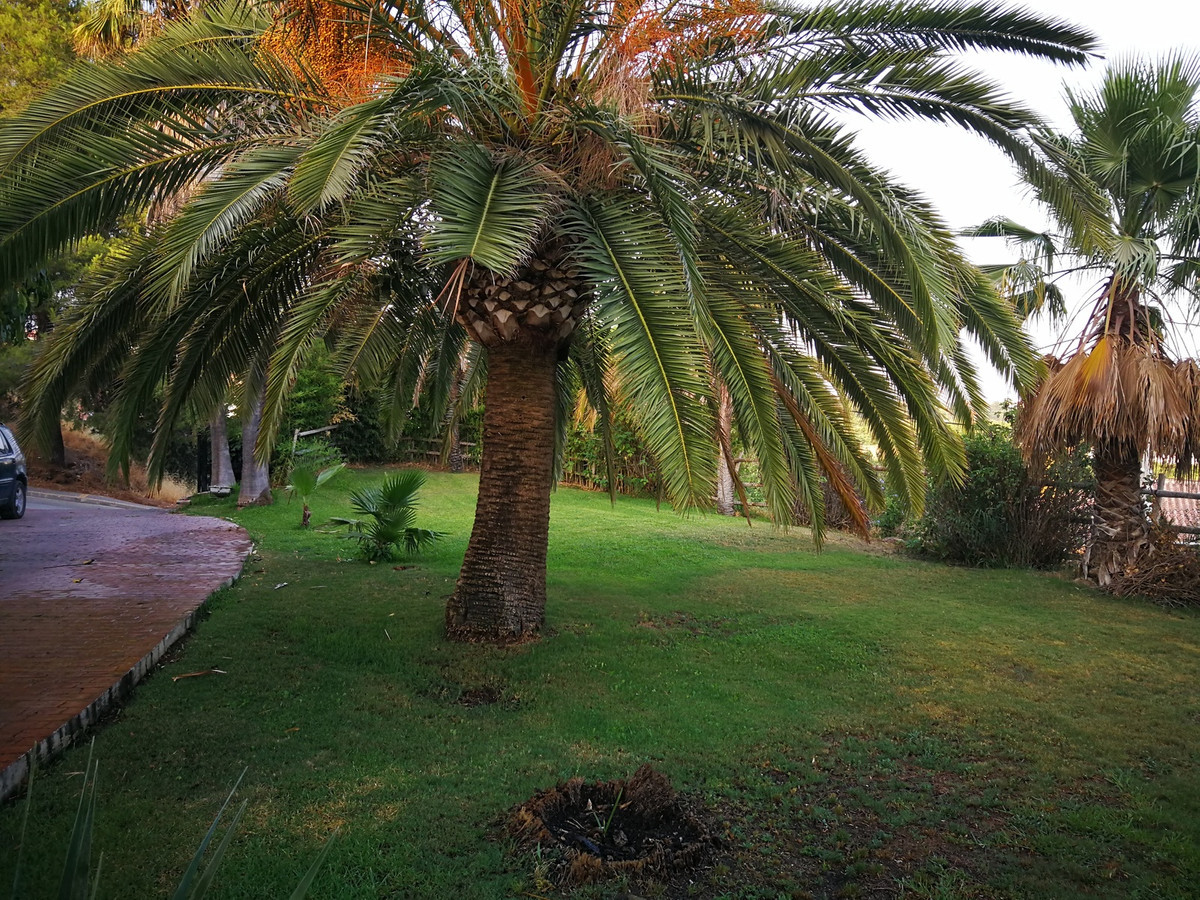 Thumbnail von La Cala Hills Land ES132414