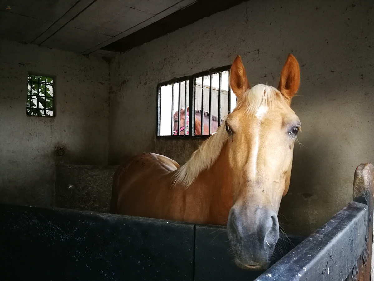 Thumbnail von La Cala Hills Land ES132414