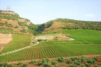 Thumbnail von Ronda Commercial Property ES132327