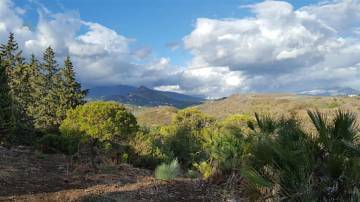 Thumbnail von Benahavís Land ES117321