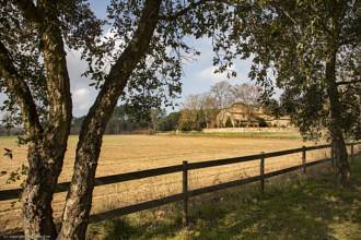 Thumbnail von Barcelona Commercial Property ES31096