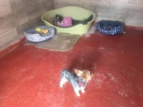 Thumbnail von Commercial Property For Sale in Fortuna, Murcia