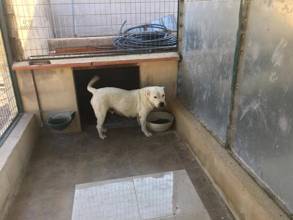 Thumbnail von Commercial Property For Sale in Fortuna, Murcia