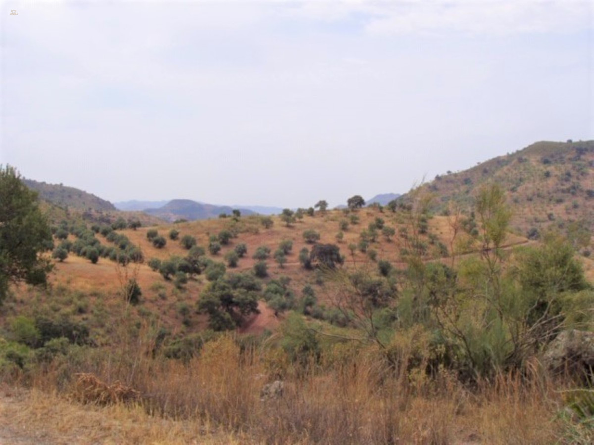 Thumbnail von Almogía Land ES132511