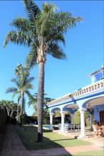 Thumbnail von Villa For Sale in Marbella, Málaga