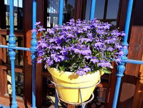 Thumbnail von Villa For Sale in Estepona, Málaga