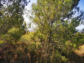 Thumbnail von Land For Sale in Mijas, Málaga