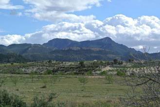 Thumbnail von Villa For Sale in Torre del Rico, Murcia