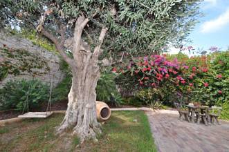 Thumbnail von Villa For Sale in Alicante City
