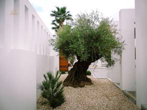 Thumbnail von Nueva Andalucía Villa ES134281