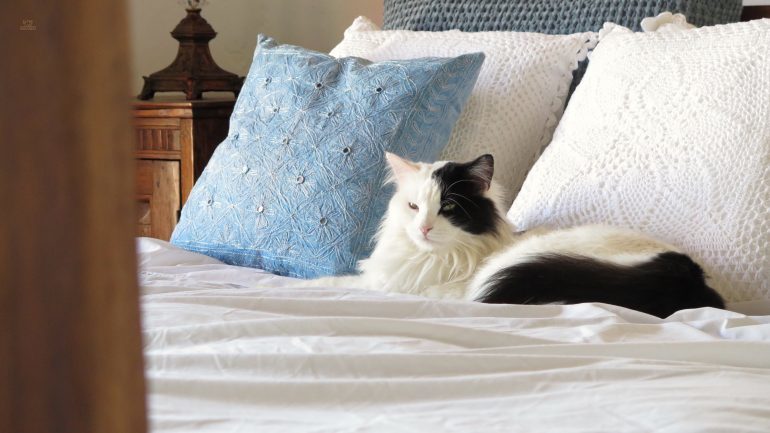 Thumbnail von Montellano Commercial Property ES133785