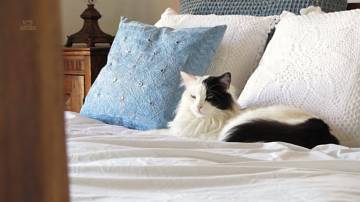 Thumbnail von Montellano Commercial Property ES133785