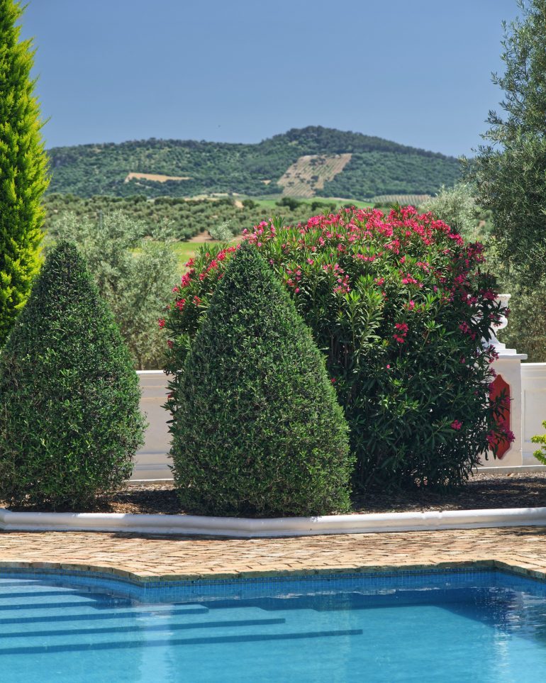 Thumbnail von Montellano Commercial Property ES133785