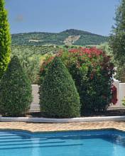 Thumbnail von Montellano Commercial Property ES133785