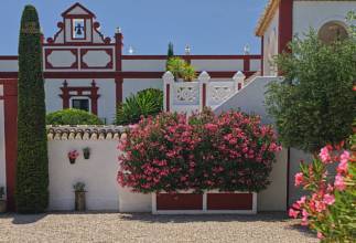 Thumbnail von Montellano Commercial Property ES133785