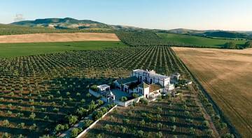 Thumbnail von Montellano Commercial Property ES133785