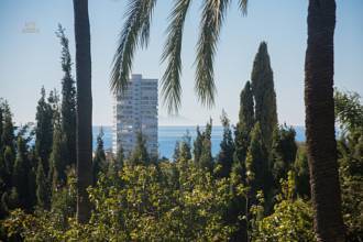 Thumbnail von Marbella Villa ES132665