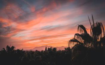 Thumbnail von Marbella Apartment ES131698