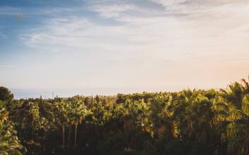 Thumbnail von Marbella Apartment ES131698