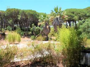 Thumbnail von Land For Sale in Las Chapas, Málaga