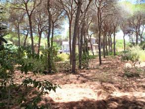 Thumbnail von Land For Sale in Las Chapas, Málaga