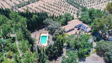 Thumbnail von Other For Sale in Archidona, Málaga