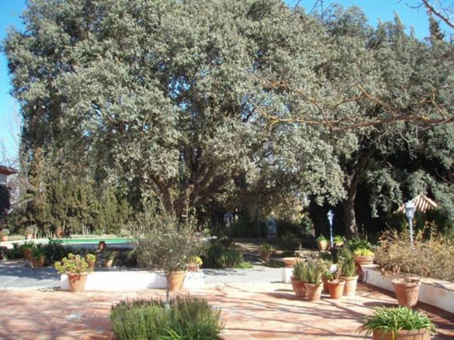 Thumbnail von Other For Sale in Archidona, Málaga